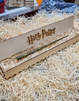 Hermionin Carobni Stapic 1 Harry Potter