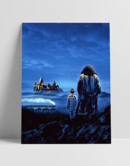 Harry Potter 1 Filmski Poster v2 30x40 1