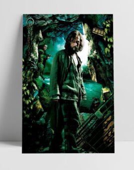 Harry Potter 4 Filmski Poster v2 32x48 1