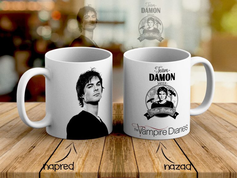 Vampire Diaries Team Damon Solja Vampirski Dnevnici 2