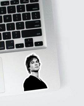Vampire Diaries Damon Foto 3 stiker za laptop