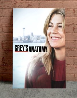 Greys Anatomy 2 poster