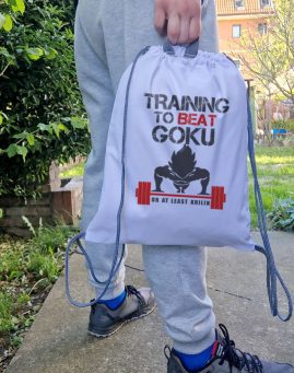 Training to Beat Goku Pro Ranac