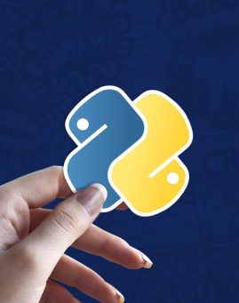 Python v stiker za laptop
